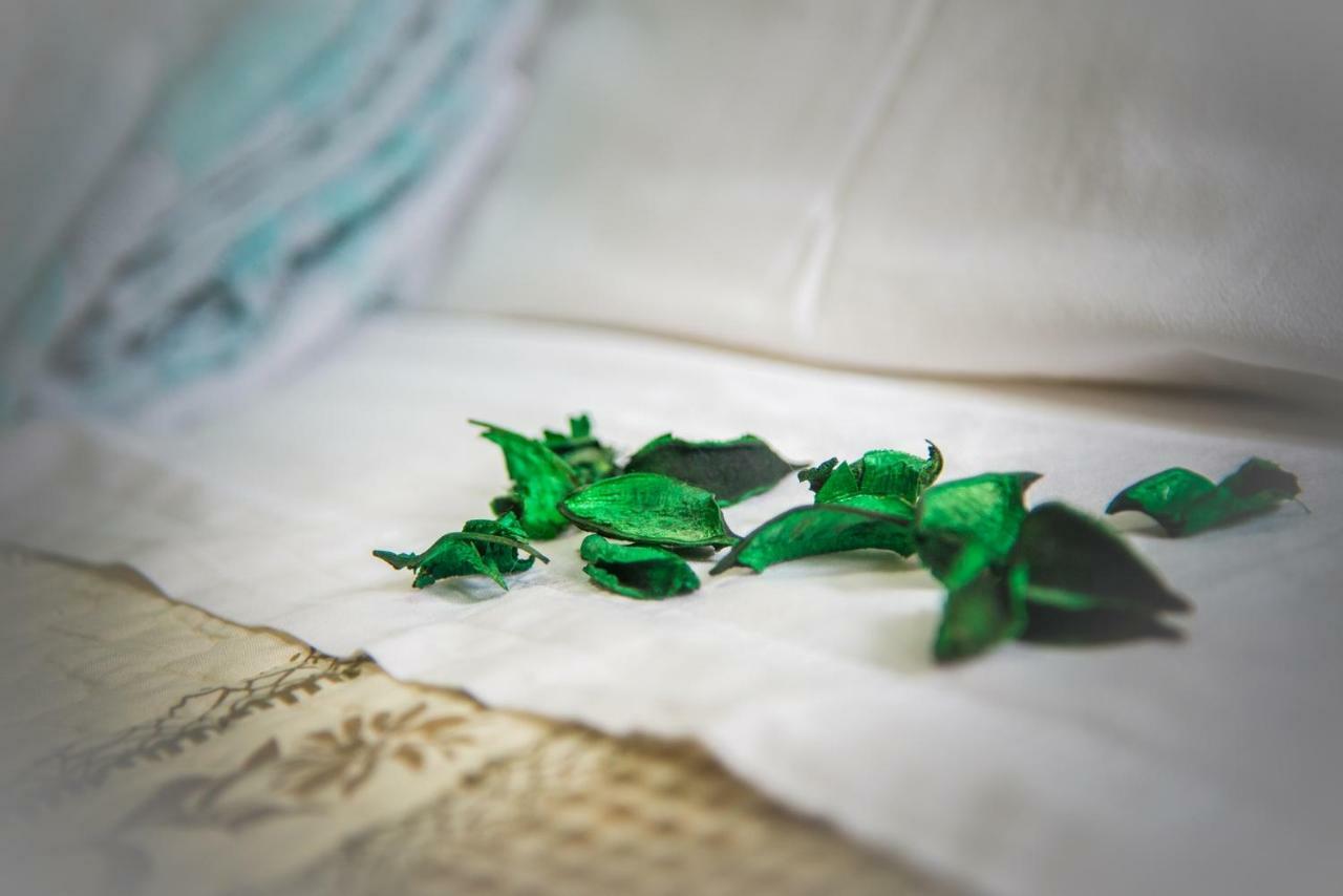 Adria Bella Locazione Turistica Bed & Breakfast Dış mekan fotoğraf